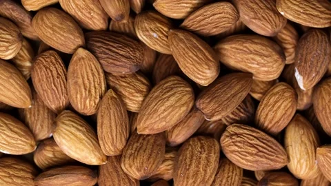Apricot kernels peeled close-up as a background. Stock Footage 234589560