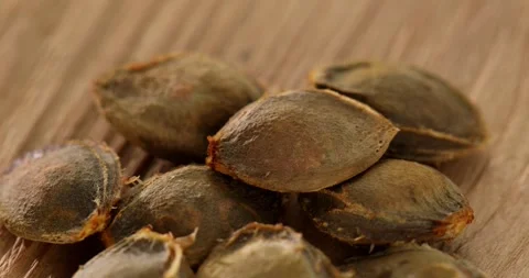 Apricot kernels on a wooden table. Close-up. Stock Footage 247555830