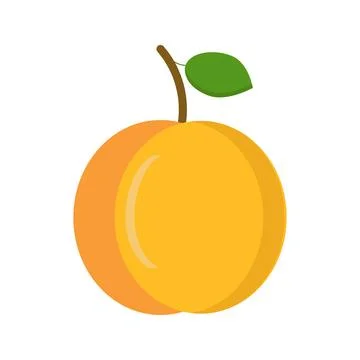 Apricot with a leaf close-up in flat style on a white background Stock Illustration