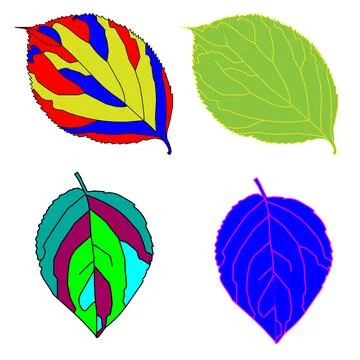 Apricot leaf. Stock Illustration