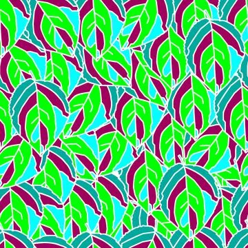 Apricot leaf Stock Illustration