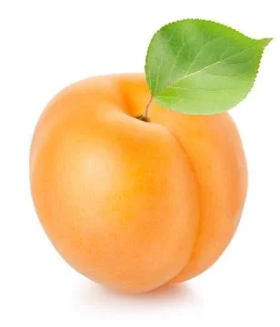 Apricot with leaf Stock Photos