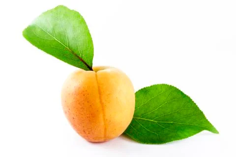 Apricot with leafs Stock Photos