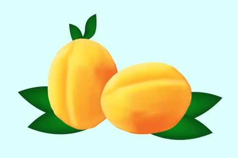 Apricot with leaves on a blue background. Vector illustration. 库存插图