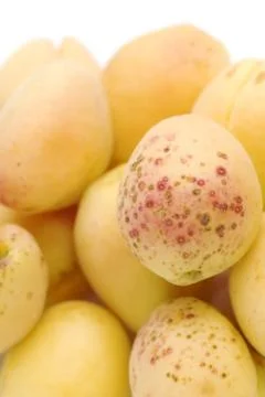 Apricot macro Stock Photos