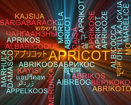 Apricot multilanguage wordcloud background concept glowing Stock Illustration