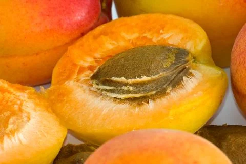 Apricot nucleus Foto stock