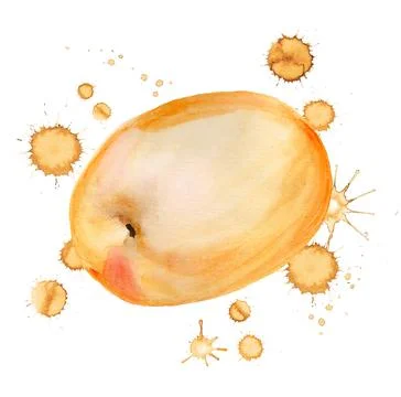 Apricot with paint blots Stock Illustration