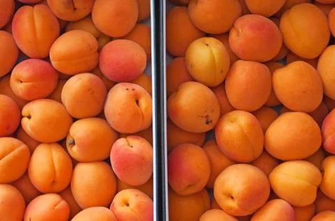 Apricot Stock Photos