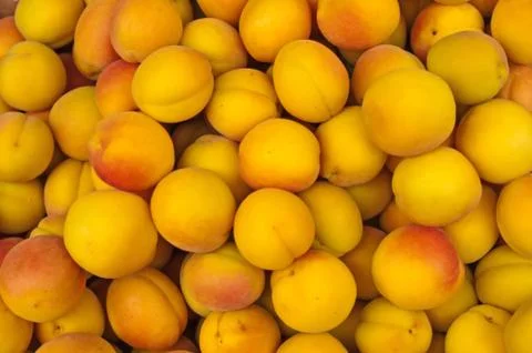 Apricot Stock Photos