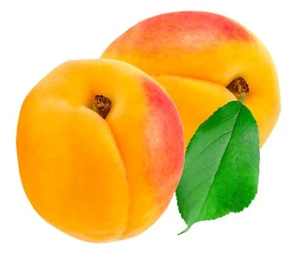 Apricot Foto stock