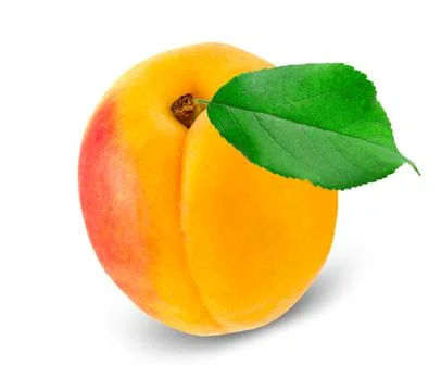 Apricot Stock Photos