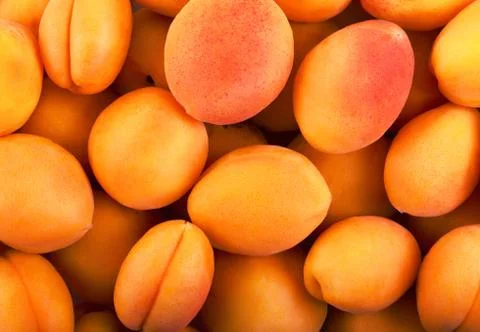 Apricot Stock Photos