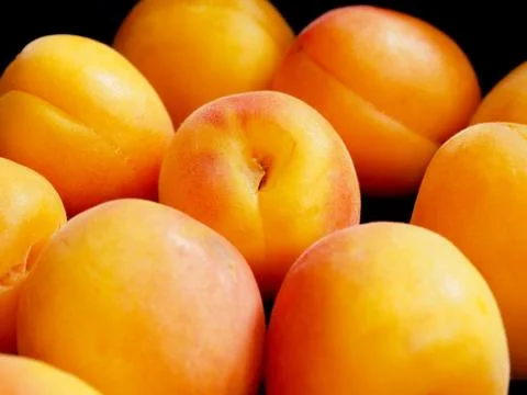 Apricot Stock Photos