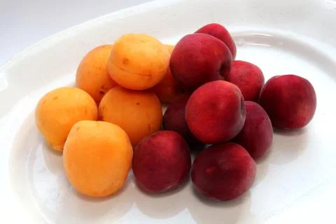 Apricot Stock Photos