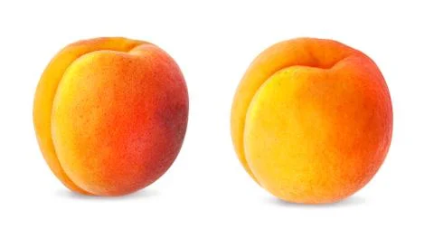 Apricot Stock Photos
