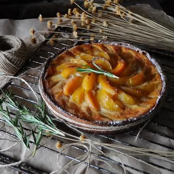 Apricot pie 스톡 사진