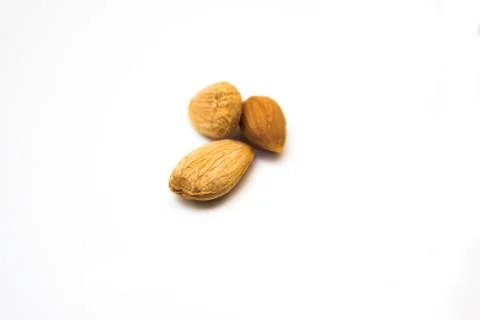 Apricot pit Stock-Fotos