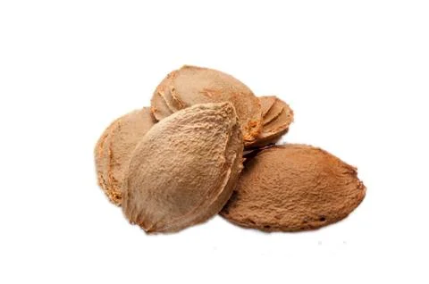 Apricot pits 2 Stock-Fotos