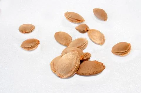 Apricot pits 3 Stock-Fotos