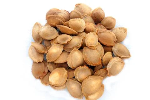 Apricot pits 4 Stock-Fotos