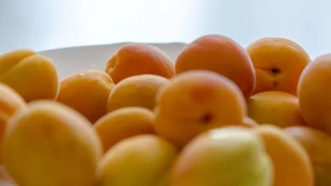 Apricot plate on the table. Fresh apricots grown in daylight. Natural and fresh. Stock Photos