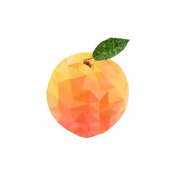 Apricot in polygonal style. Stock Illustration