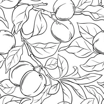 Apricot seamless pattern Stock Illustration