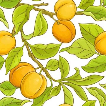 Apricot seamless pattern Stock Illustration