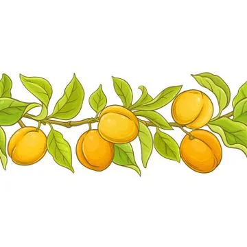 Apricot seamless pattern Stock Illustration