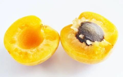 Apricot split into halves Stock Illustration