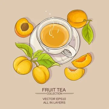 Apricot tea illustration Illustrazione stock