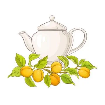 Apricot tea in teapot Stock Illustration