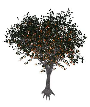 Apricot tree - 3D render Stock Illustration