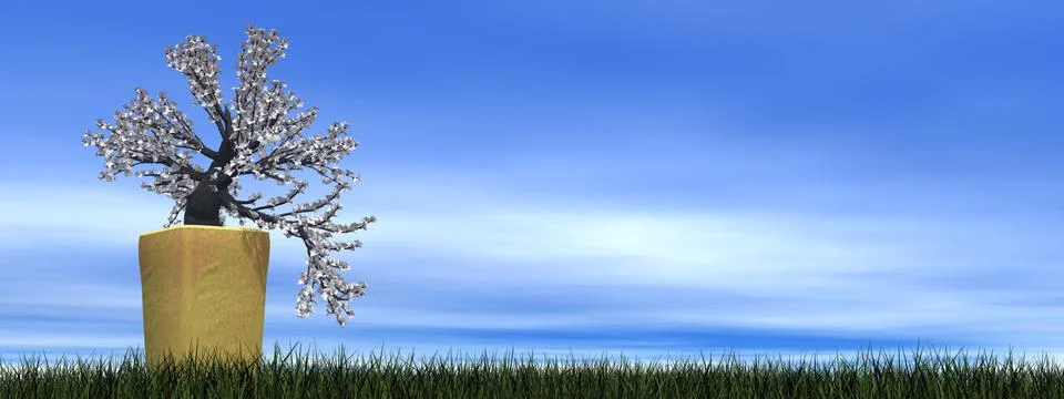 Apricot tree bonsai - 3D render Stock Illustration