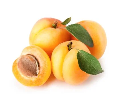 Apricot on a white background Stock Photos
