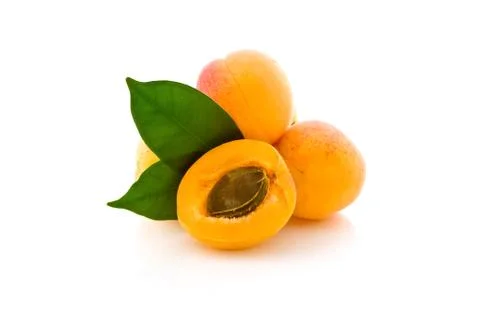 Apricot on white background Stock Photos