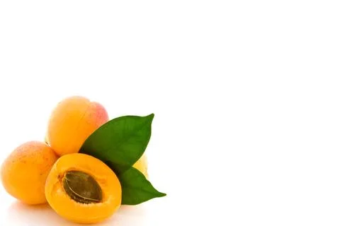 Apricot on white background Stock Photos