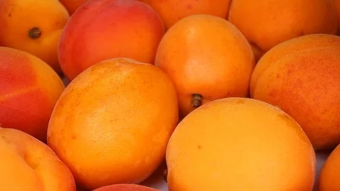 Apricots apricot fruit closeup texture rotating video background Stock Footage 113142841