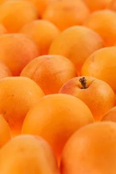 Apricots background, full frame, shallow DOF Stock Photos