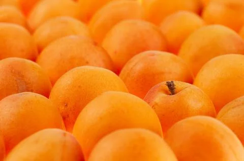 Apricots background, full frame, shallow DOF Stock Photos