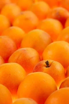 Apricots background, full frame, shallow DOF Stock Photos