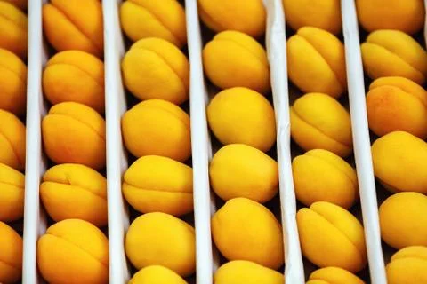 Apricots as background Stock Photos