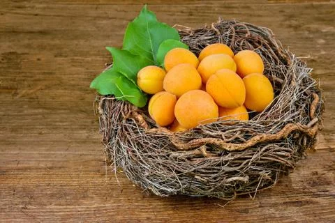 Apricots in a basket Stock Photos