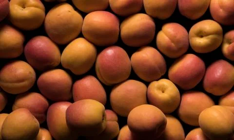 Apricots on black background Stock Photos