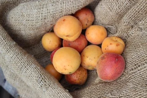Apricots on the board Stock Photos