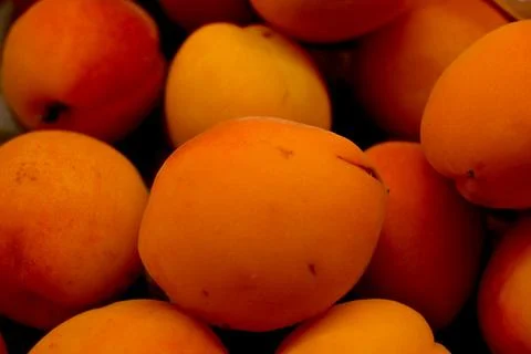 Apricots Close-Up, Fresh Summer Fruit Concept Stockfoto's