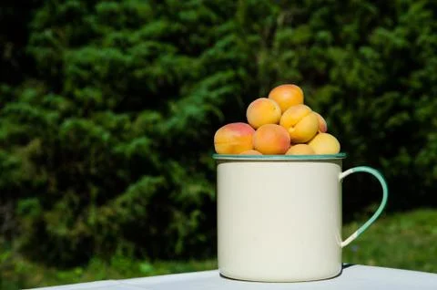 Apricots in a cup Stock Photos