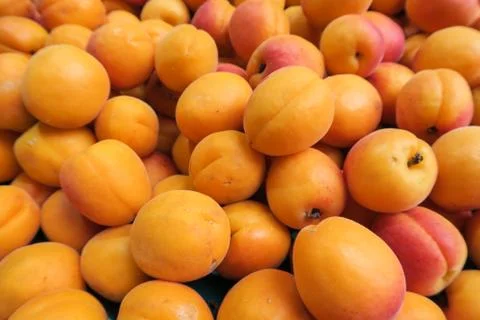 Apricots fresh Stock Photos