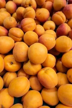 Apricots fresh Stock Photos